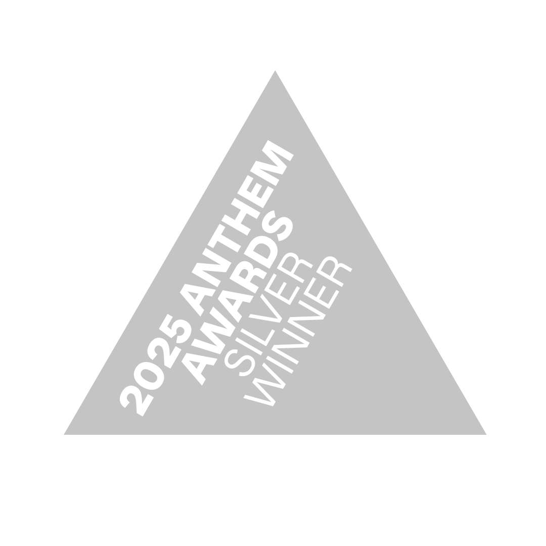 Anthem 2025 silver winner